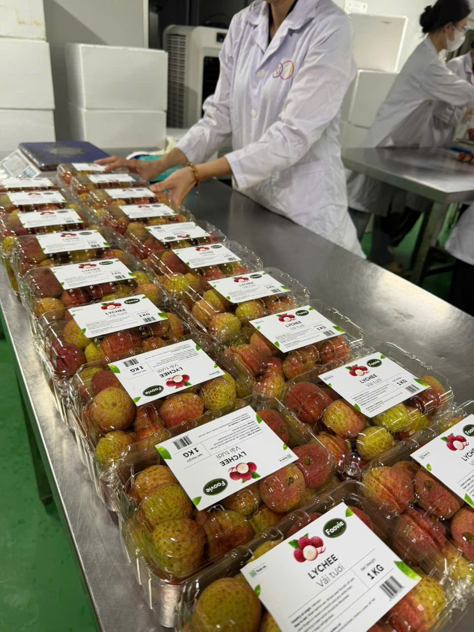 Fresh Vietnamese Lychee – 1kg Box