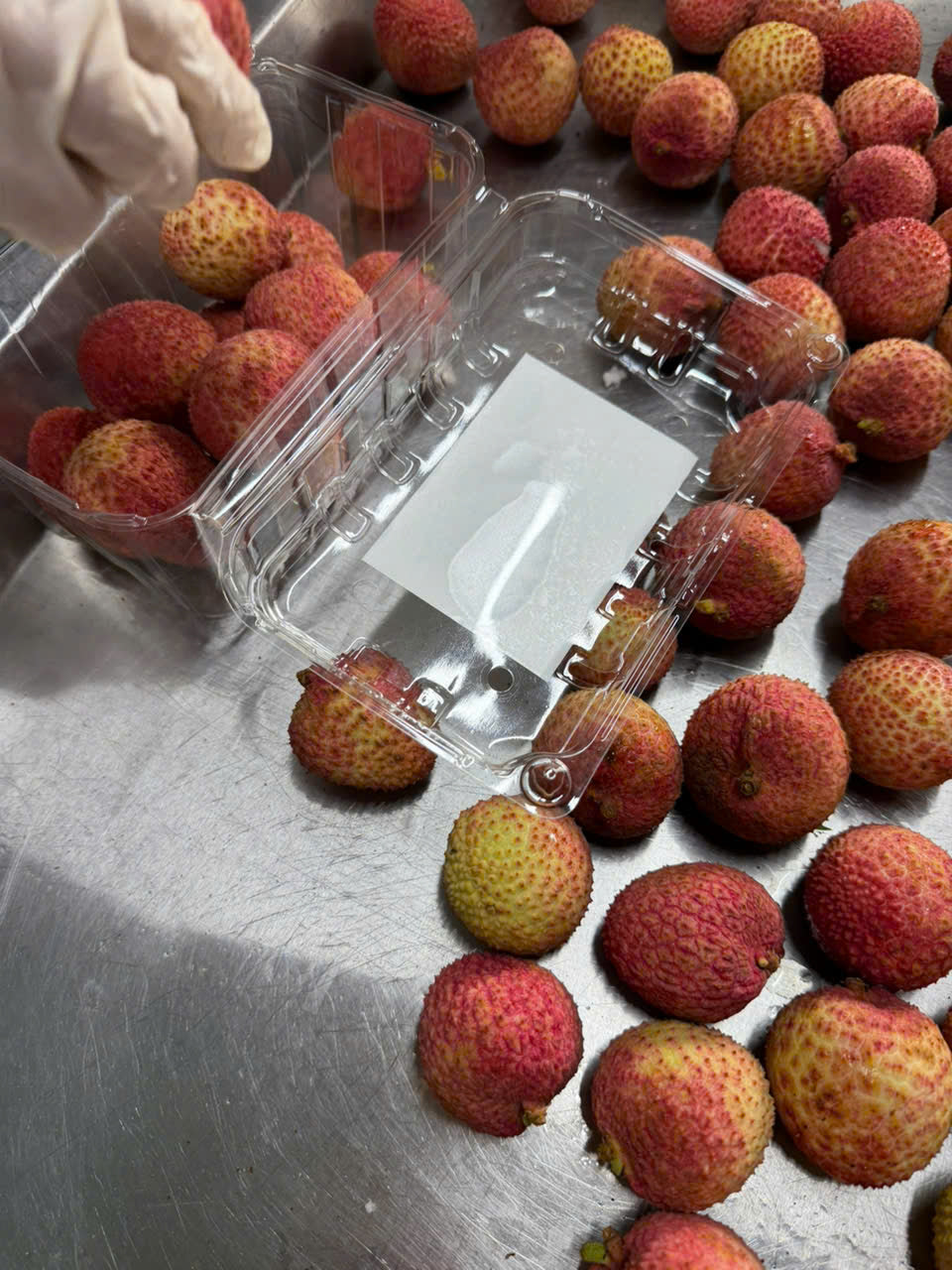 Fresh Vietnamese Lychee – 1kg Box