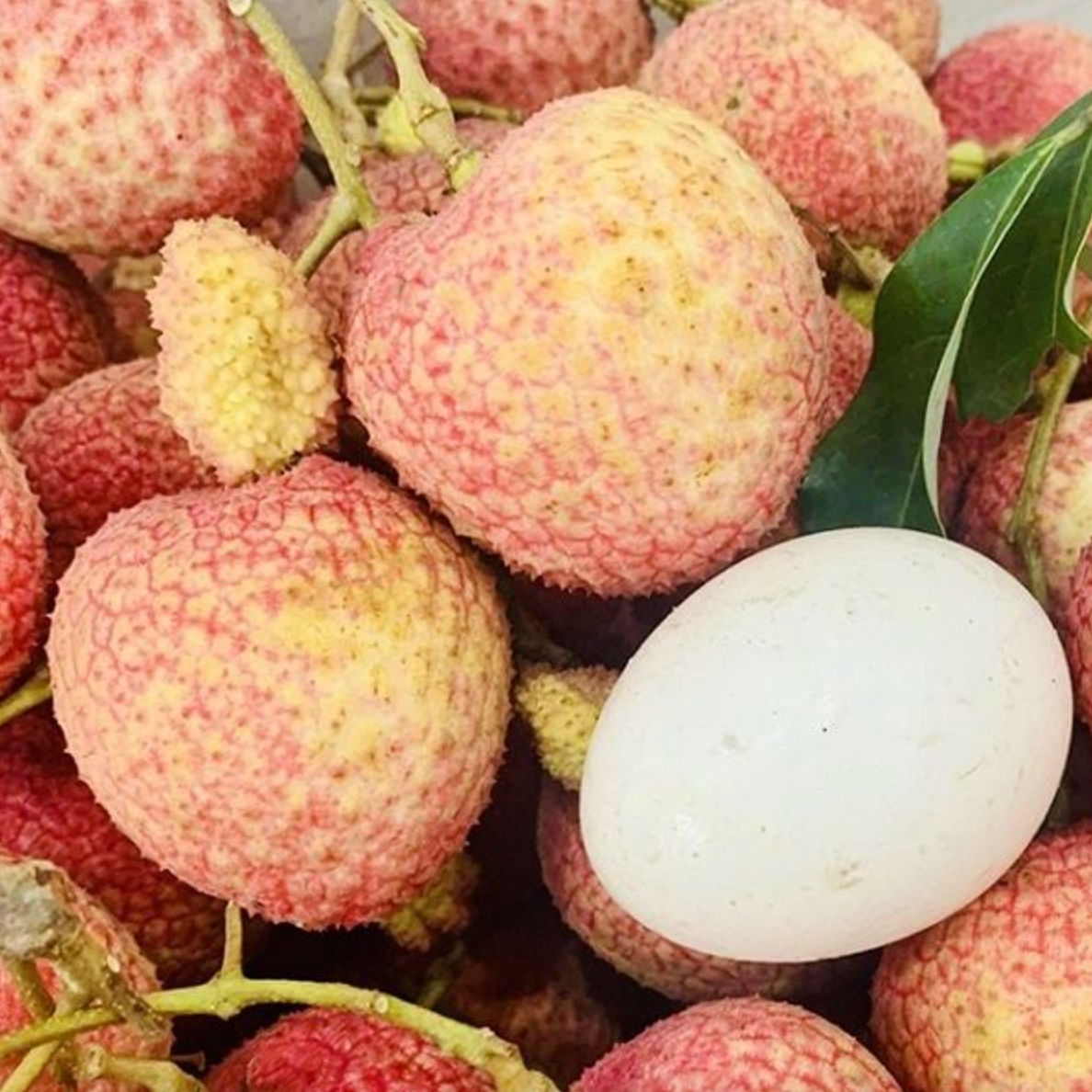 Fresh Phù Cừ Egg Lychee (Vải Trứng Phù Cừ) – 1kg Box